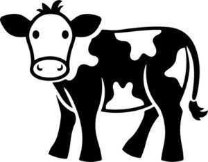 تلقیح مصنوعی گاو و گوسفند