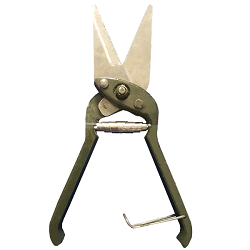 سم چین گوسفندی