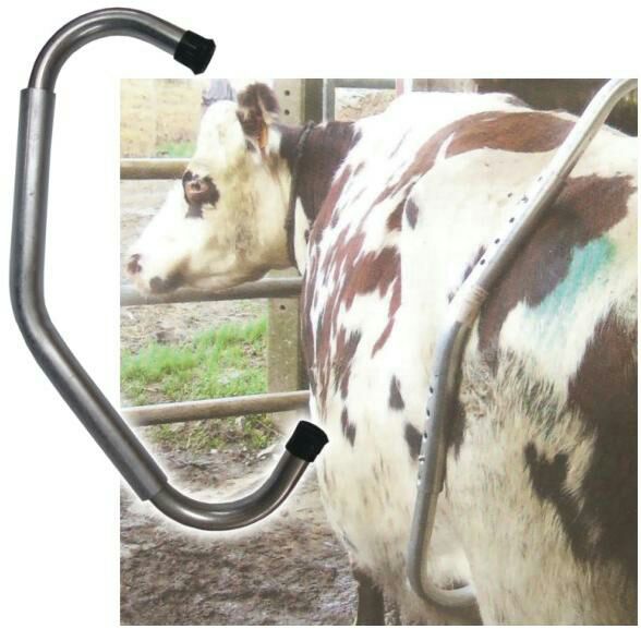 لگد گیر دامی